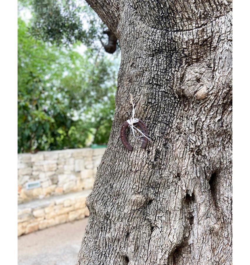 Masseria Conca D'Oro Ostuni Eksteriør billede