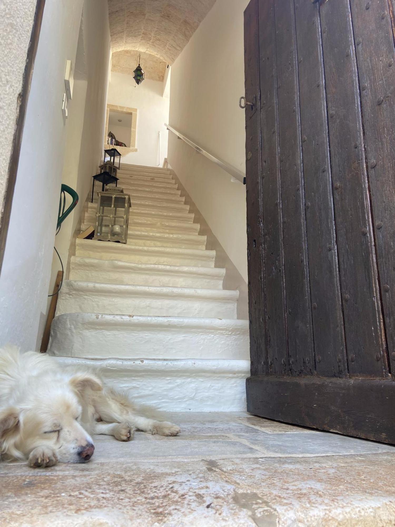 Masseria Conca D'Oro Ostuni Eksteriør billede